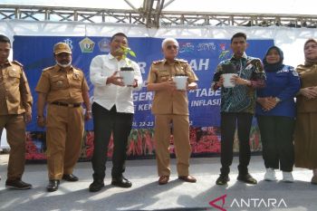 Pemprov Sultra-BI luncurkan gerakan tanam cabai kendalikan inflasi