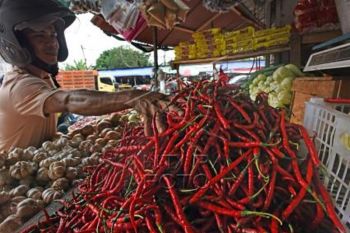 Harga Cabai Merah Naik