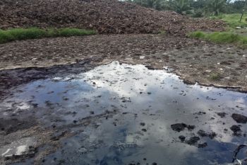 Warga Mukomuko Bengkulu laporkan perusahaan diduga cemari sungai