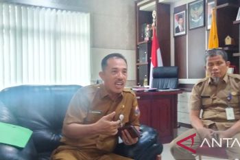 7.500 hektare lahan sawit di Jambi bakal diremajakan