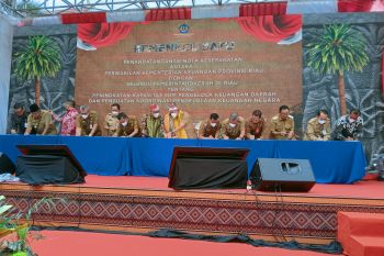 Penerimaan pajak sawit Riau masih minim dari lahan 3,9 juta hektare