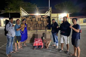 Polisi mengungkap penjualan kayu "illegal logging" di Dompu