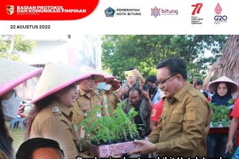 Pemkot Bitung bagikan bibit tanaman dorong penghijauan di kelurahan