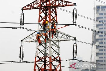 Transformasi Bisnis Mampu Perkuat PLN Hadapi Tantangan Global