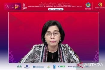 Per Januari 2022, sudah 17,2 juta UMKM terdigitalisasi