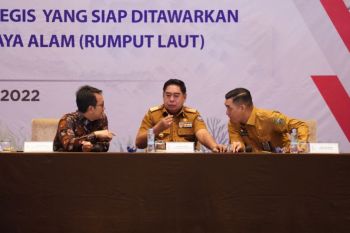 Kementerian Investasi/BKPM siapkan dua proyek berbasis SDA di Sulsel
