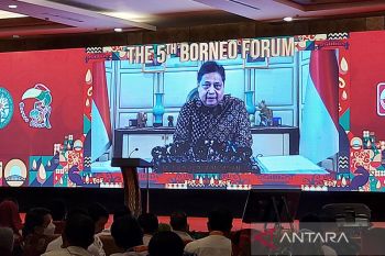 Airlangga Hartarto minta kepala daerah dukung industri sawit