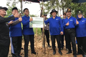 BP Batam tanam 12.000 bibit pohon jati emas