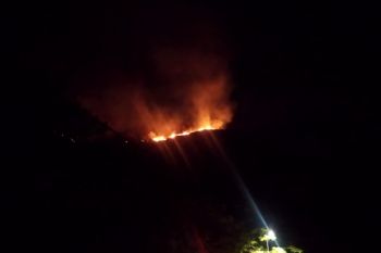 Pemkab Mabar imbau warga waspada kebakaran hutan dan lahan