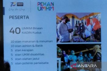 Pelaku usaha dari tiga kabupaten meriahkan pameran UMKM di Kudus