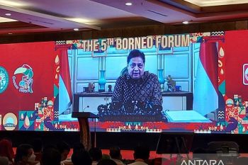 Menko Airlangga minta kepala para daerah dukung industri sawit