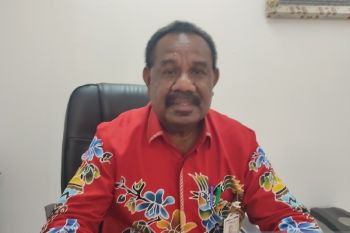 BPD Papua  siapkan program "Papeda" membantu UMK