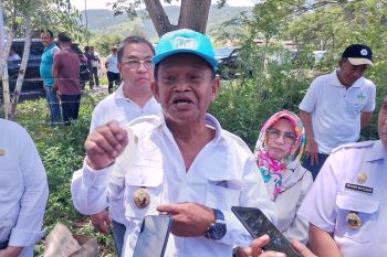 Pemprov Sulteng upayakan semua warga miskin dapat asuransi