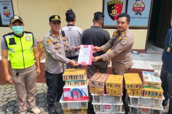 Polisi gagalkan pengiriman ratusan ekor satwa tanpa dokumen