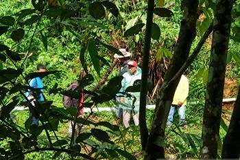 Warga hilang di Kamang ditemukan sejauh 15 kilometer di Palupuah