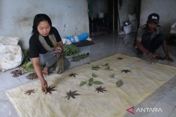 Batik ecoprint Jombang