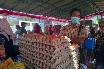 Pemkot Mataram akan datangkan telur dari Bali