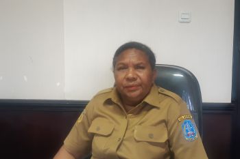 Pemkab Jayapura berharap melalui DEA muncul wirausahawan lokal Papua