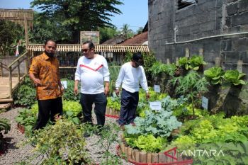 Ini cara warga Desa Sidomulyo Boyolali menuju desa mandiri pangan