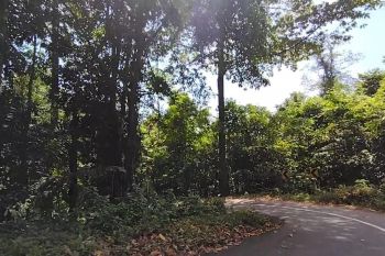 Manggarai Barat berpotensi dilanda angin kencang
