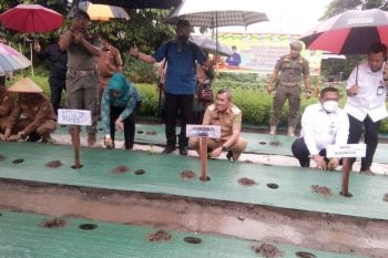 Pemprov Riau bagikan 65 ribu bibit cabai gratis pada ASN