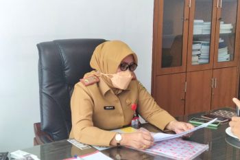 BKD Bandarlampung sebut pendataan pegawai non ASN telah capai 50 persen