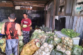 Relawan Jokowi menjual enam ton sayuran murah untuk 2.000 warga Jakarta Barat
