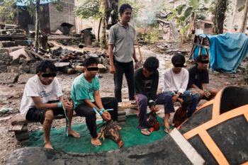 Polres Mamuju Tengah menangkap lima pelaku judi sabung ayam
