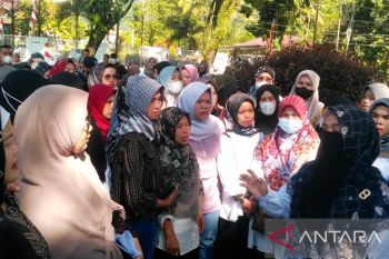 Datangi kantor bupati, Honorer Solok Selatan minta dimasukkan dalam pendataan Menpan