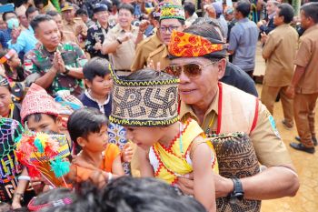 Hadiri Adat Dayak Tenggalan, Gubernur Kaltara minta lestarikan budaya