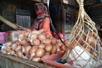 Harga telur turun jadi Rp30 ribu/kg