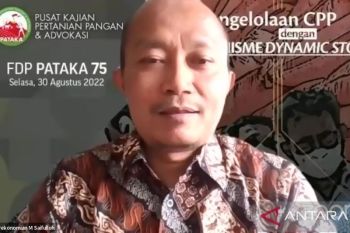 Pemerintah terus dorong penguatan cadangan pangan secara jangka panjang