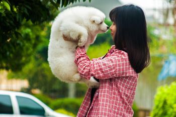 Lebih banyak anjing atau manusia yang menangis saat bertemu?