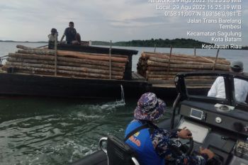 Polda Kepri tangkap pelaku pengangkut 200 kayu tanpa dokumen