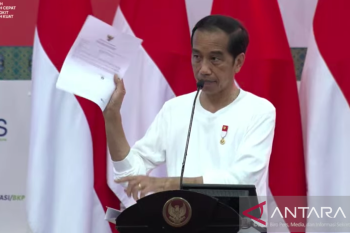Jokowi: UMKM di Papua segera manfaatkan NIB untuk tambah modal