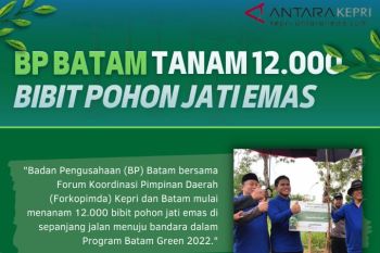 BP BATAM TANAM 12.000 BIBIT POHON JATI EMAS