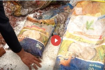 SEBANYAK 3,6 TON BERAS DAN SEMBAKO DITEMUKAN TERTIMBUN DI DEPOK