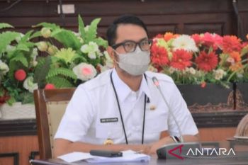 944 hektare lahan akan ditanami kakao varietas baru di Sinjai