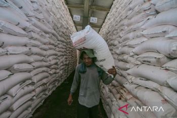 Realisasi penyaluran pupuk bersubsidi di Jawa Barat mencapai 402.715 ton
