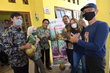 Mendes PDTT apresiasi BUMDes konservasi orangutan di Pulang Pisau