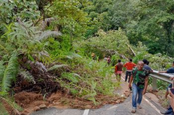 Pohon tumbang dan longsor terjadi di Padang akibat cuaca buruk