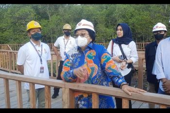 Restorasi mangrove bukti komitmen RI pada G20