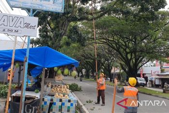 PLN gelar aksi pembersihan jalur distribusi ROW secara serentak, guna tingkatkan keandalan pasokan
