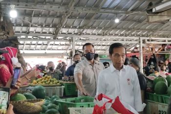 Jokowi: BLT BBM disalurkan di semua kabupaten/kota mulai pekan depan