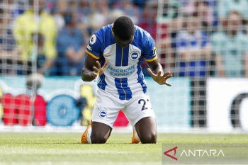 Chelsea bisa dapatkan gelandang Brighton Moises Caicedo