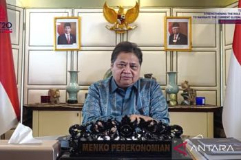 Voice of developing countries in G20 should be increased: Minister