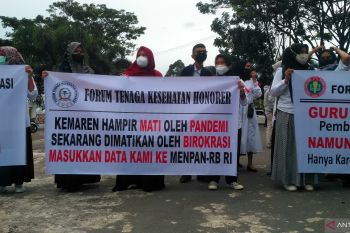 Solok Selatan surati Kemenpan-RB untuk pendataan honorer dirumahkan