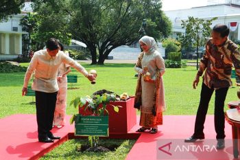 Jokowi: Pergantian Ketua Umum PPP merupakan urusan internal partai