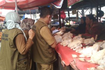 Harga komiditas di Lampung merangkak naik