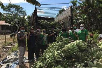 Jokowi lepas ekspor pisang kepok di Kutai Timur